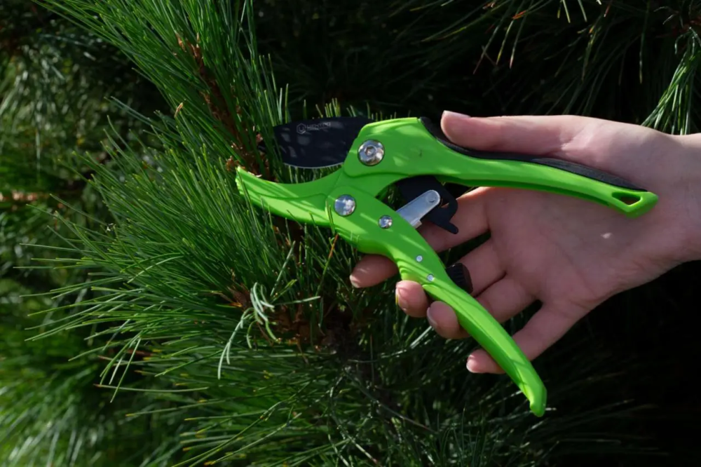 Секатор садовый Центроинструмент 1244 для веток Коломыя - изображение 3