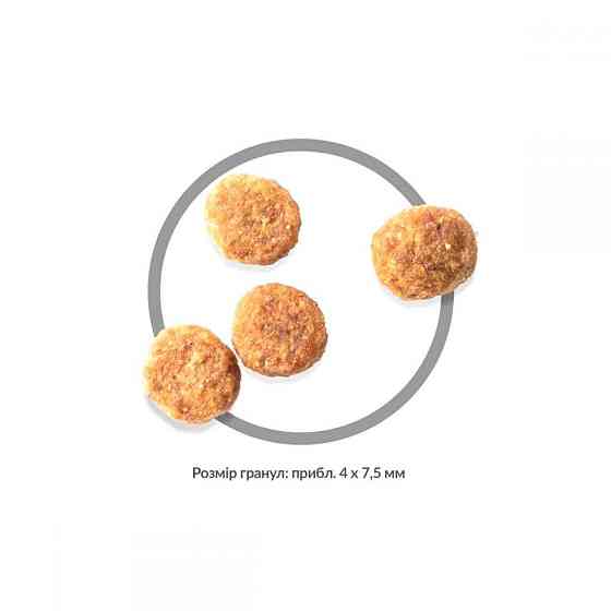 Корм для міні і малих порід собак Хіллс Hills SP Sensitive 1.5 кг з куркою при чутливому шлунку і шкірі Вінниця