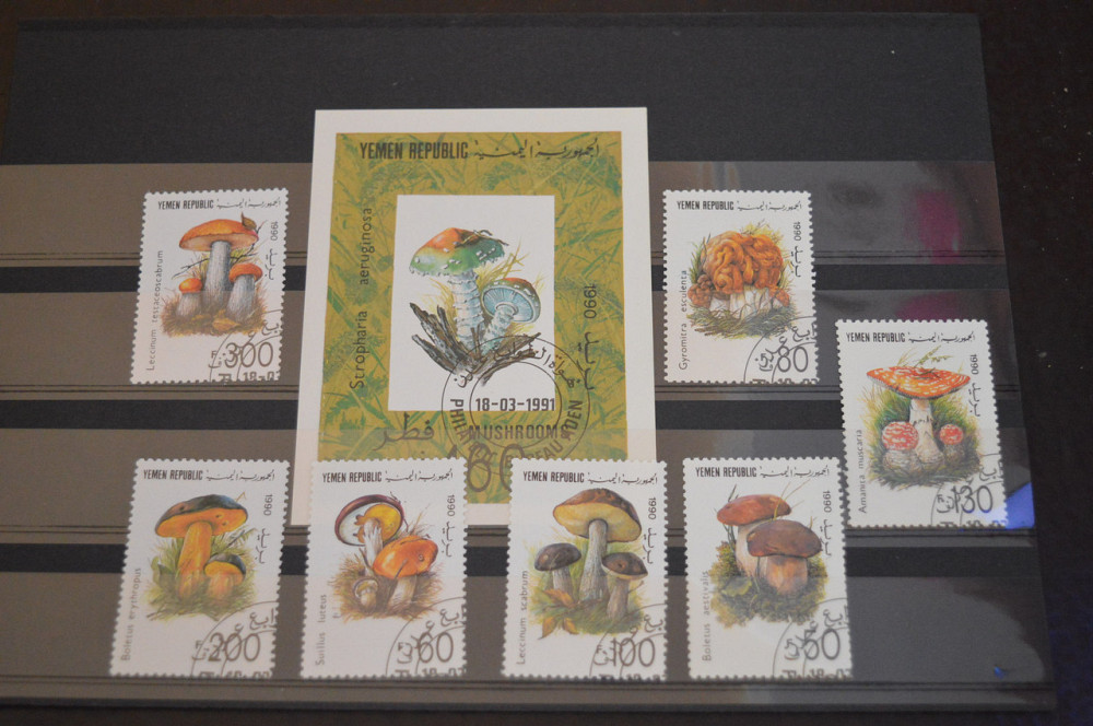 Марки. Серия. Йемен (гаш.) Полтава - изображение 1