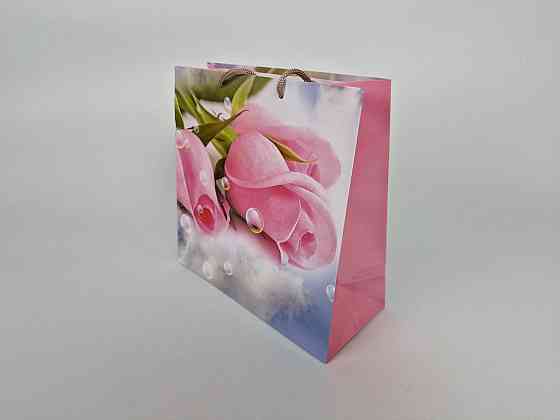 Пакет бумажный подарочный квадратный 23*24*10(артKV-086) (12 шт) Харьков