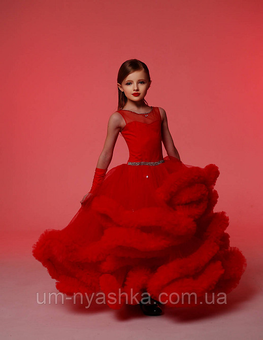 Пишне плаття Хмарка ЧЕРВОНЕ на 4-6, 6-8 років Кривий Ріг - фото 5