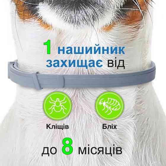 Foresto Bayer Animal (Форесто Байєр) нашийник 70 см від бліх і кліщів для собак і котів 8 кг Запоріжжя