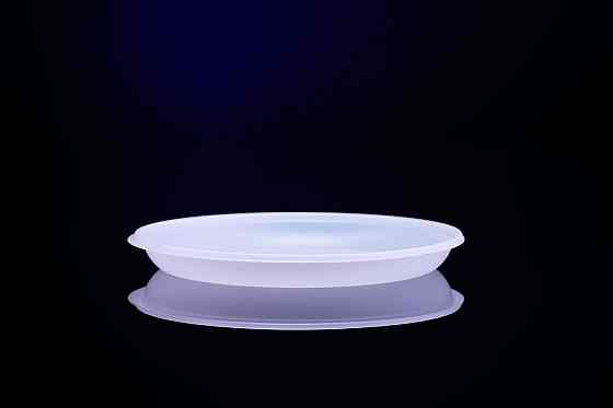 Тарелка одноразовая пластиковая 205 мм Павлоград