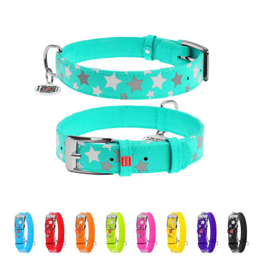 Нашийник для собак шкіряний WAUDOG Glamour з QR паспортом, візерунок "Зірочка", світлонакопичув Коломыя - изображение 1