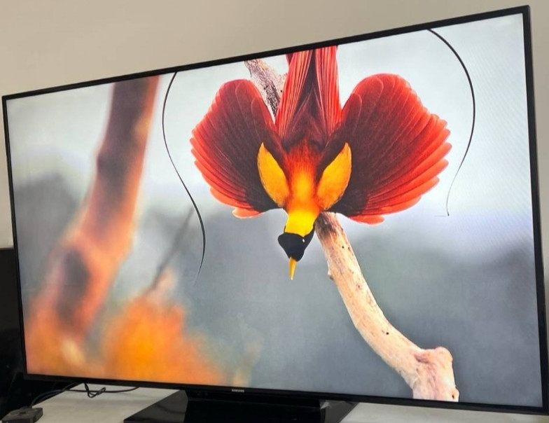 Телевизор: Samsung 75