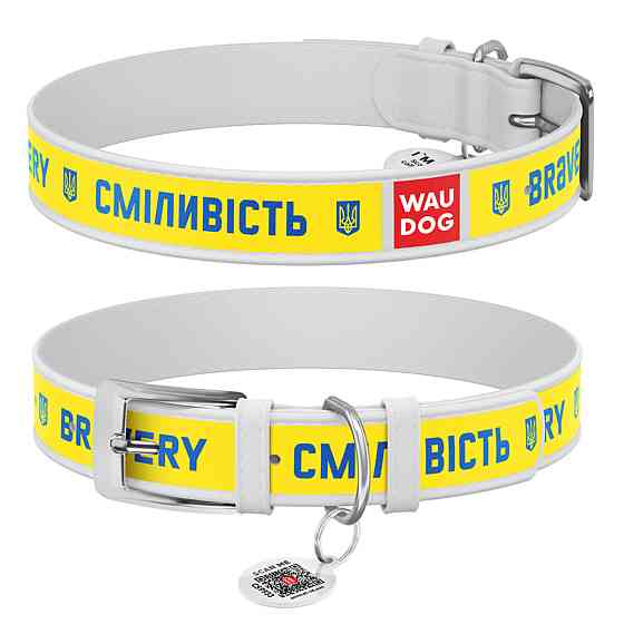 Нашийник для собак шкіряний WAUDOG Design з QR паспортом, малюнок "Сміливість", XL, Ш 35 мм, Дов 46-59 см, білий Київ