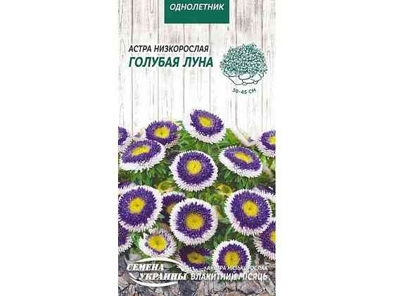 Астра низькоросла Голубая Луна ОД 0,2г (10 пачок) ТМ НАСІННЯ УКРАЇНИ Київ