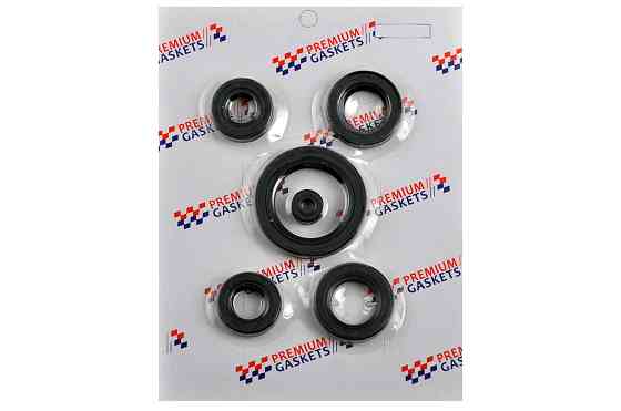 Сальники (набір) Zonghsen, Lifan 125/150 (OHV) (5шт) (TM) EVO Киев