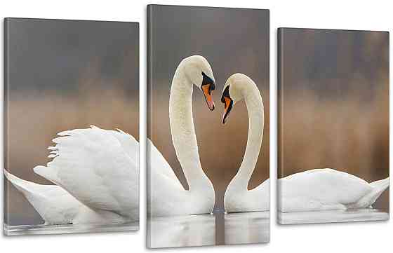 Модульная картина Природа Лебеди Art-127_3 70x130 см Киев