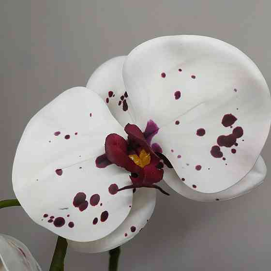 Штучна латексна орхідея VIP у білому керамічному кашпо на одну гілку біла Дніпро