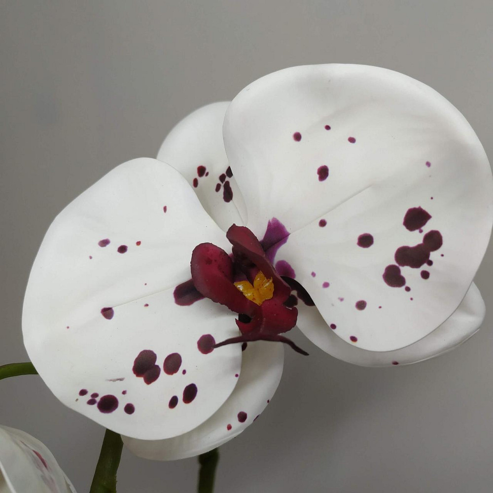 Штучна латексна орхідея VIP у білому керамічному кашпо на одну гілку біла Дніпро - фото 3