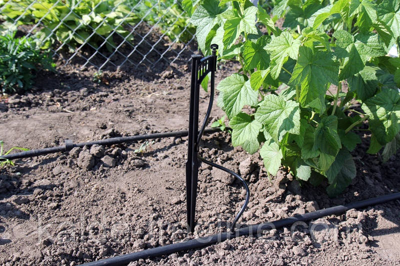 Крапельниця для поливу Presto-PS мікроджет Шуруп (MJ-1414) Харьков - изображение 8