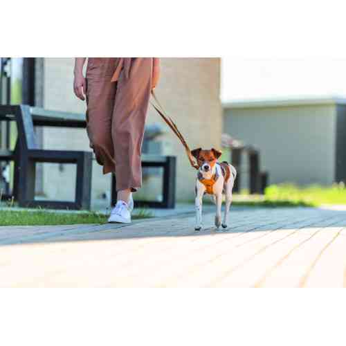 Повідок Trixie Premium для собак регульований XS–S 2 м 15 мм оранжевий Київ