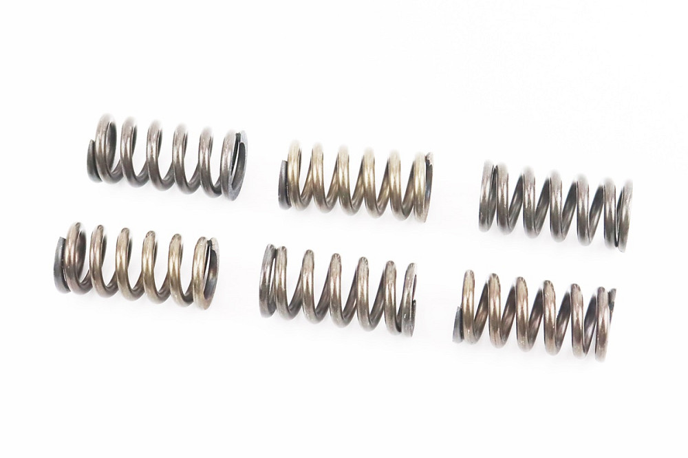 Пружини зчеплення D-22mm, L-43,5mm, к-кт 6шт Киев - изображение 1