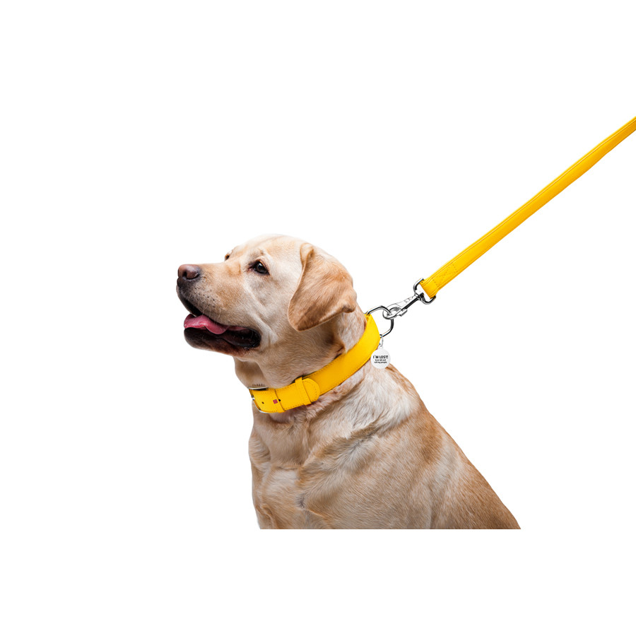 Повідець для собак шкіряний WAUDOG Glamour, Ш 25 мм, Дов 122 см жовтий Коломия - фото 6