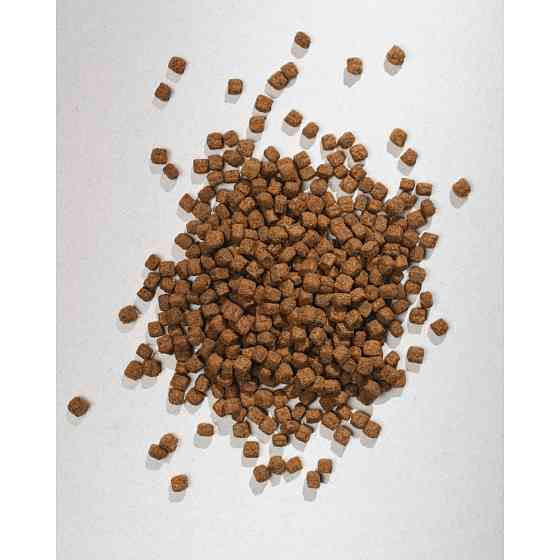 Сухой корм Half&Half для кошек с чувствительным пищеварением, с индейкой, 8 кг Винница