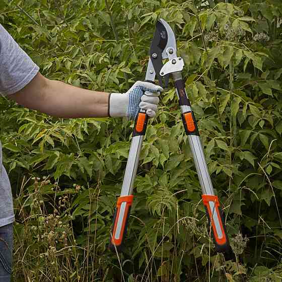Flora Сучкорез плоскостной телескопический храповый алюминиевые рукоятки 700-874мм FLORA (50223 Киев