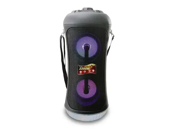 Портативна музична колонка Bluetooth DG-1063, 30Вт, FM, LED підсвічування, пульт ДУ, TF, акумулятор  Київ