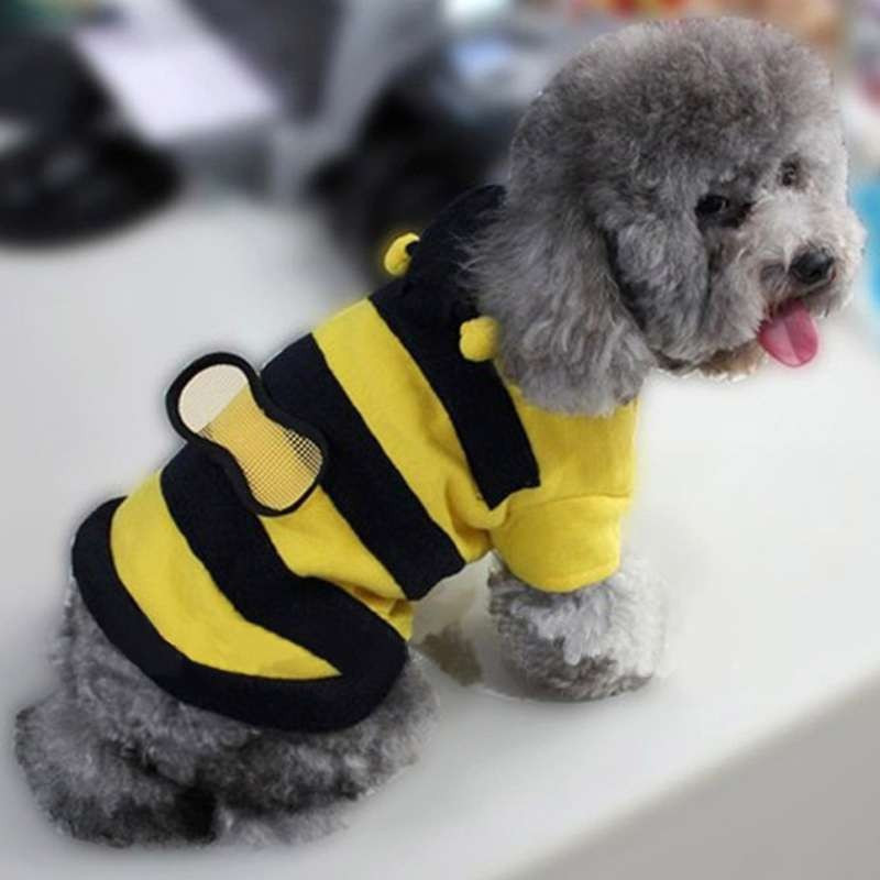 Кофта флисовая с капюшоном Пчелка для собак маленькой породы Киев - изображение 1
