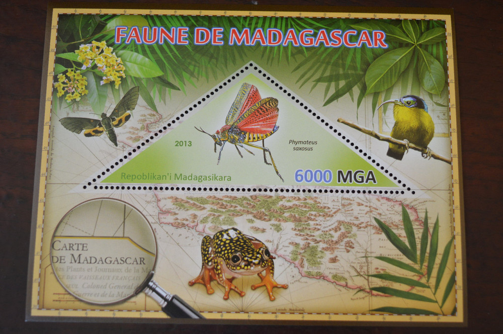 Мадагаскар. Фауна. Личности. Блок. 2014 р. (А-34) Полтава - фото 1