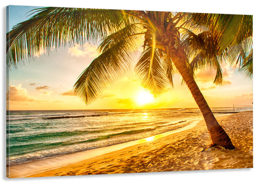 Картина холст в гостиную / спальню  Захід сонця    MLP_81 50x100 см Киев - изображение 1