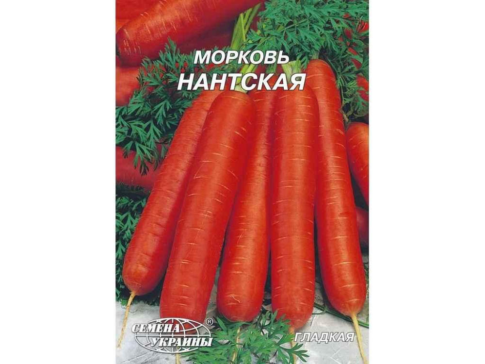 Гігант Морква Нантская 20 г (10 пачок) ТМ НАСІННЯ УКРАЇНИ Київ - фото 1