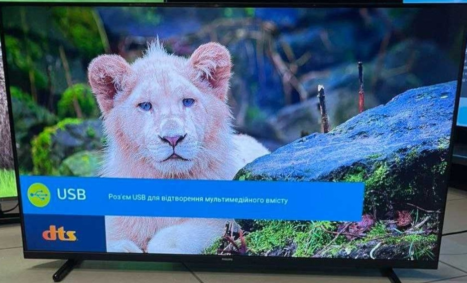 Телевизор: 43