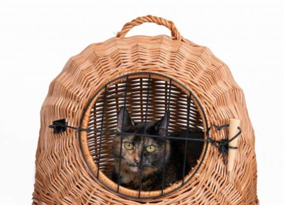 Переноска плетена корзина для котів Trixie (Тріксі) 50х46х36 см Запоріжжя - фото 3