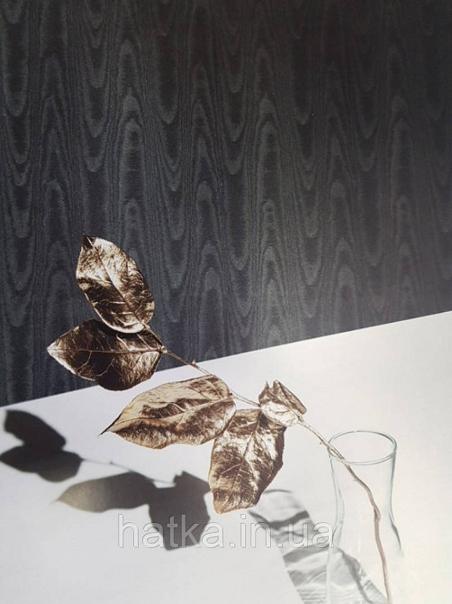 Шпалери вінілові на паперовій основі Sirpi Italian Silk 7 хвилясті смуги зріз дерева чорні з сріблом Київ - фото 1