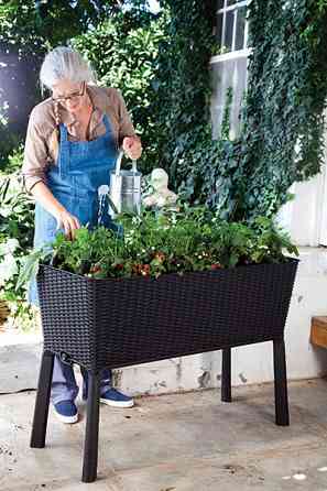 Грядка для рослин Keter Easy Grow, сіра Київ