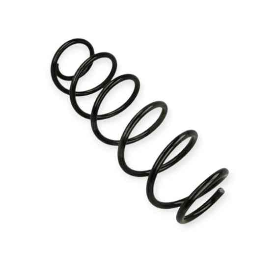 Пружина Renault Laguna III (07-15) (универсал) задняя Мукачево