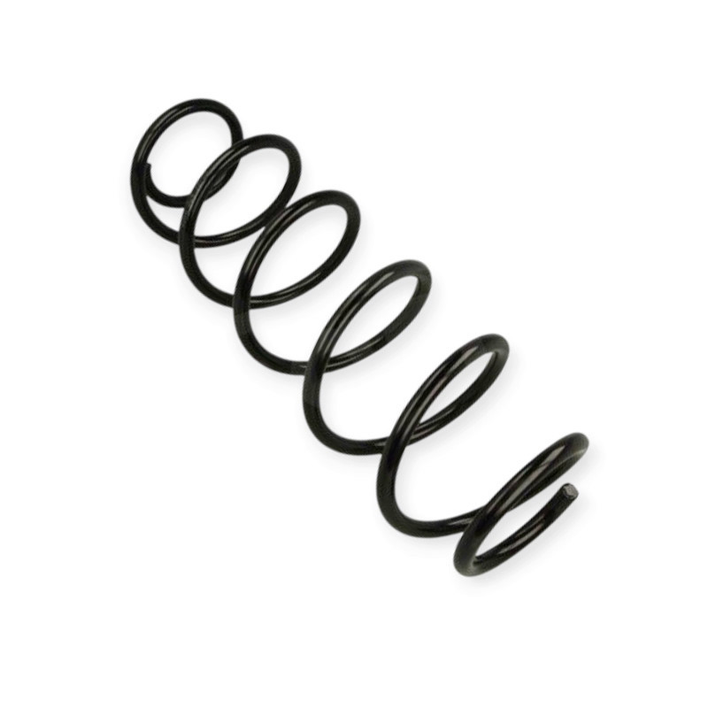 Пружина Renault Laguna III (07-15) (універсал) задня Мукачево - фото 1