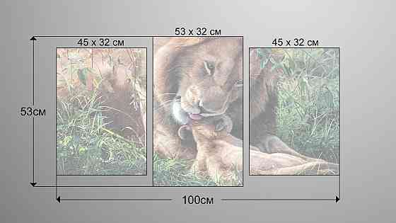 Модульная картина Животные Лев  Art-230_3 Киев