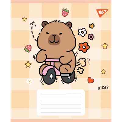 Зошит Yes Capy Tay А5 24 аркушів лінія (767804) Вінниця