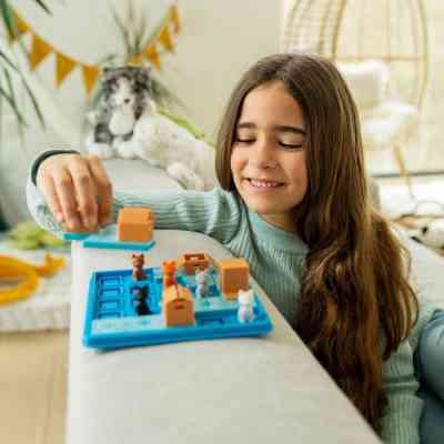 Настольная игра Smart Games Кошки в коробках (SG 450 UKR) Винница