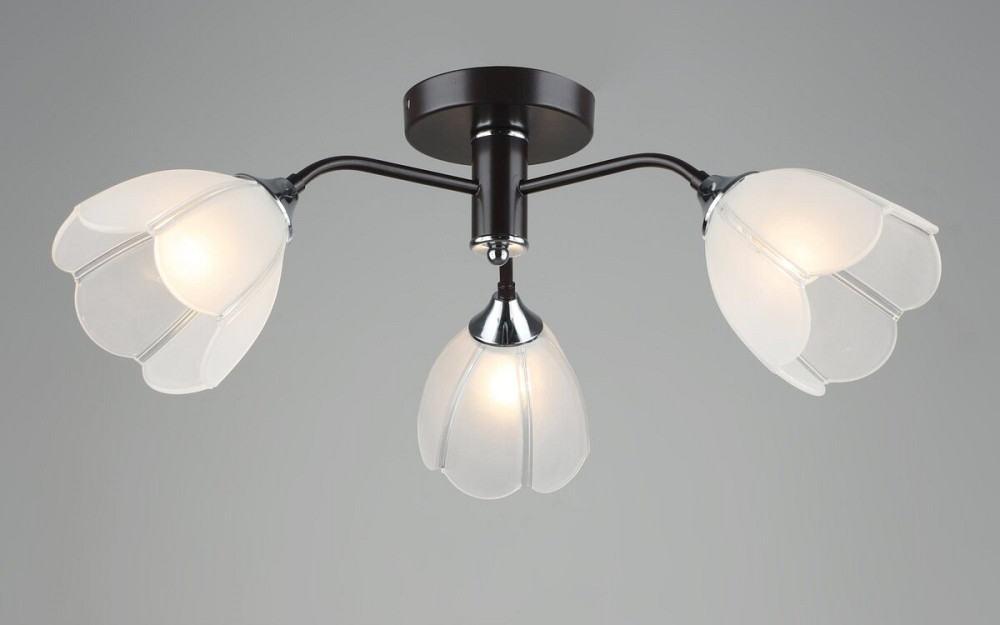 SIRIUS Люстра стельова на кухню Sirius B N6048/3 COFFEE+CR на 3 плафони Коломия - фото 1