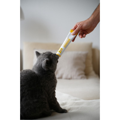 Паста для животных GimCat Cheese Biotin Paste творог с биотином 100 г (4002064401010) Винница - изображение 4