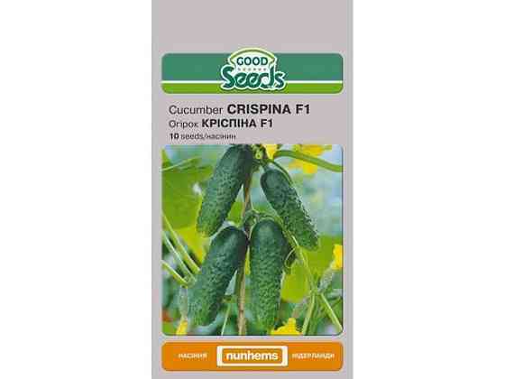 Огурец КРИСПИНА F1 [10 семян] (10 пачек) ТМ GOOD SEEDS Киев