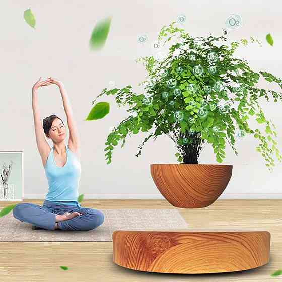 Магнітний левітаційний горщик для рослин HCNT Magnetic Levitating Pot M10-PS Wood Grain Киев
