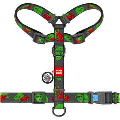 Шлея для собак WAUDOG Nylon з QR паспортом анатомічна H-подібна "Калина" L (5160-0228) Вінниця