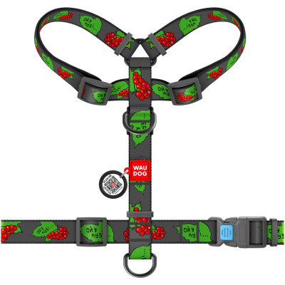 Шлея для собак WAUDOG Nylon з QR паспортом анатомічна H-подібна "Калина" L (5160-0228) Вінниця - фото 2