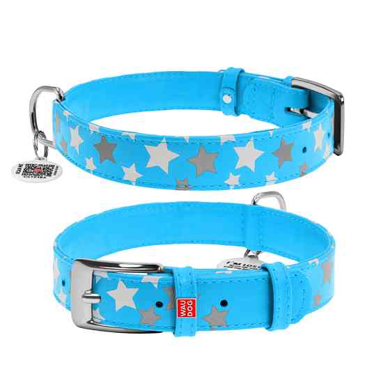 Нашийник для собак шкіряний WAUDOG Glamour з QR паспортом, візерунок "Зірочка", світлонакопичув Коломия