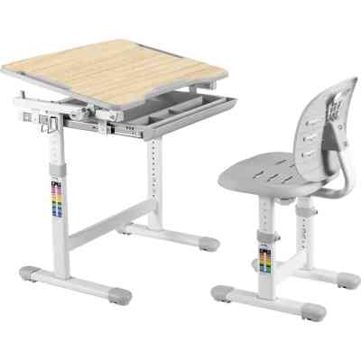 Парта со стулом FunDesk Piccolino III Grey-w Винница