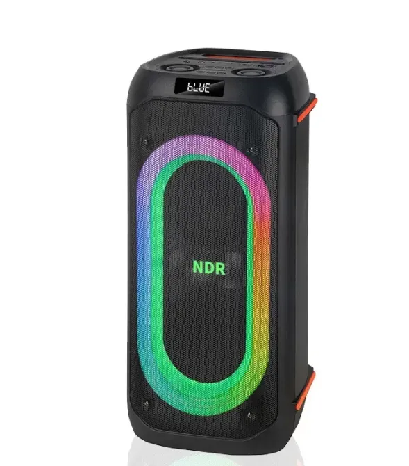 Портативна акустична колонка NDR-717 2x8" TWS/FM/USB/TF/BT/LED/REC з пультом та 2 мікрофонами Одеса - фото 2