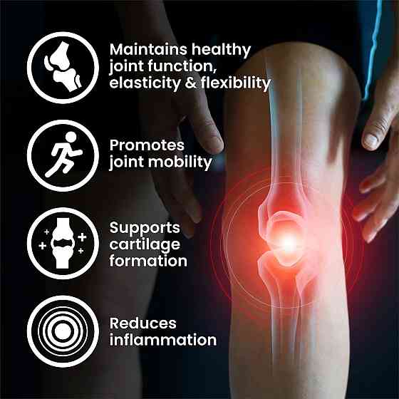 Glucosamine Chondroitin MSM 90 caps Луцьк