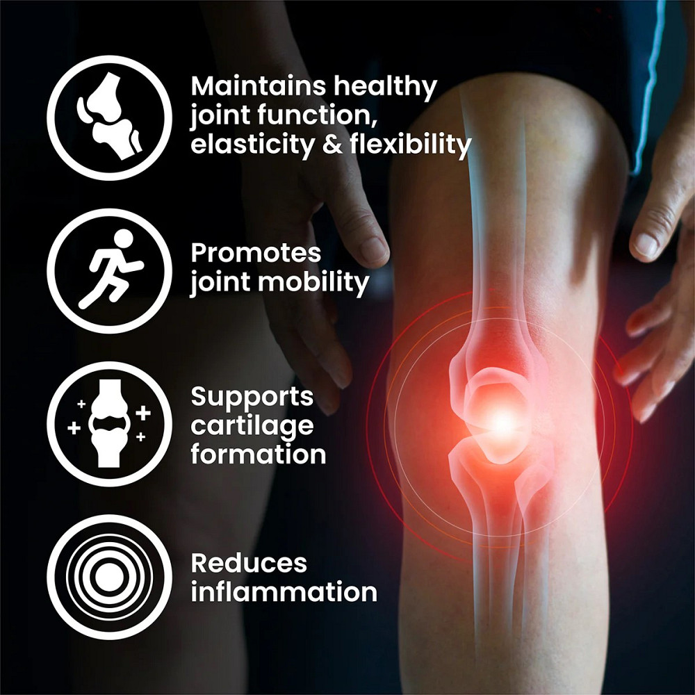 Glucosamine Chondroitin MSM 90 caps Луцьк - фото 3