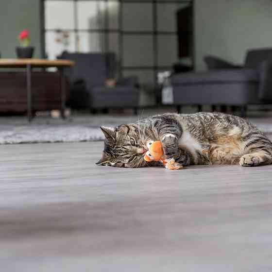 Іграшка Trixie для котів Дракон котяча м_ята плюш в асортименті 20 см Київ