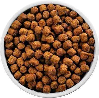 Hills Prescription Diet Canine r/d Weight Reduction (Хиллс ПД Канин р/д) для собак при ожирении 10 кг Запорожье