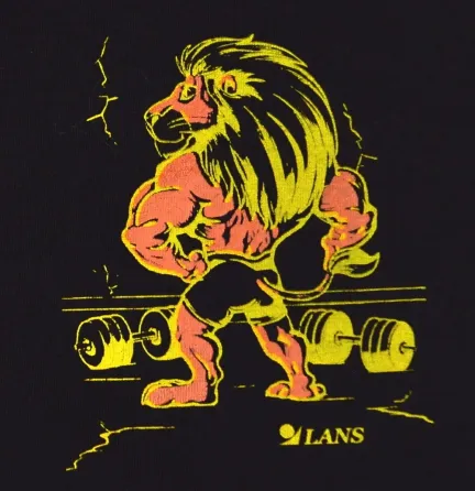 Шорты мужские удлиненные из хлопка Lans 06.012 4XL, Оранж Киев