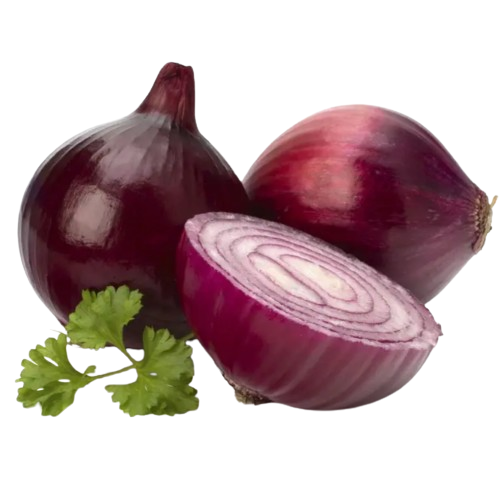 Цибуля Ред Рок F1 червона 200шт Професійне насіння Житомир